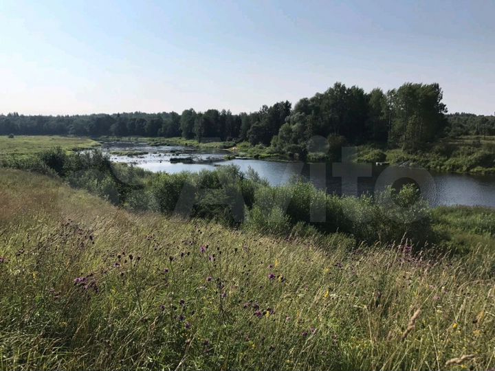 Участок 40 га (ИЖС)