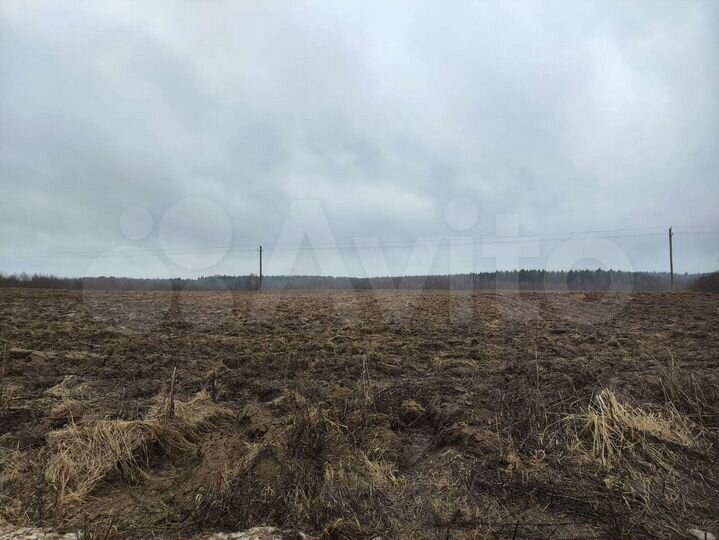 Участок 73 га (СНТ, ДНП)