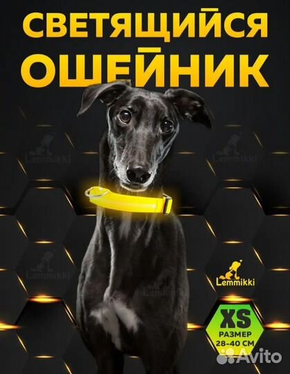 Светящийся ошейник