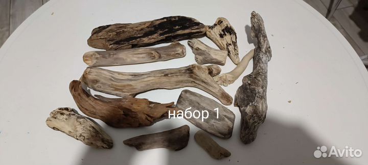 Дрифтвуд, морские коряги