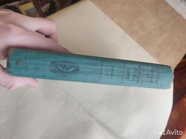 Леонид Соболев зелёный луч, Воеводин Буря 1967