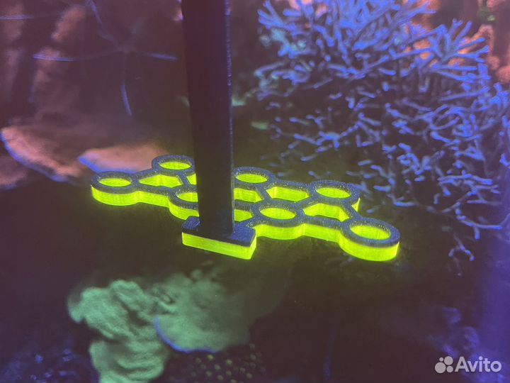 Полки для кораллов, кормушка для нори