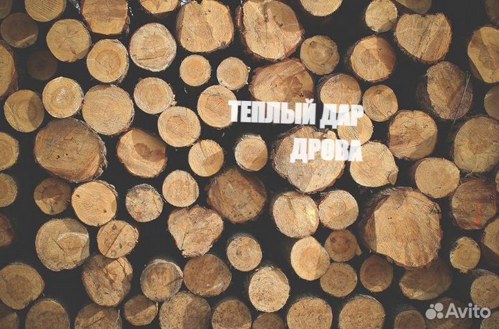 Дрова сухие