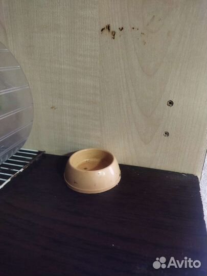 Пренадлежности для грызунов