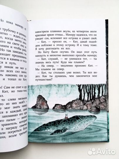 Детская книга Кит плывет на север