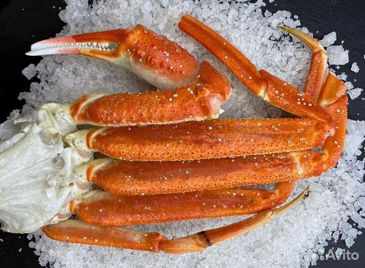 Конечности краба стригуна