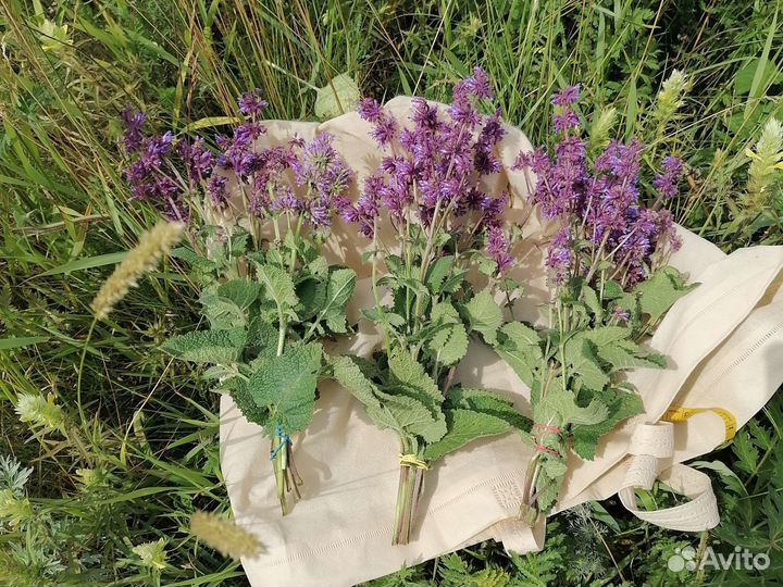 Шалфей сушёный