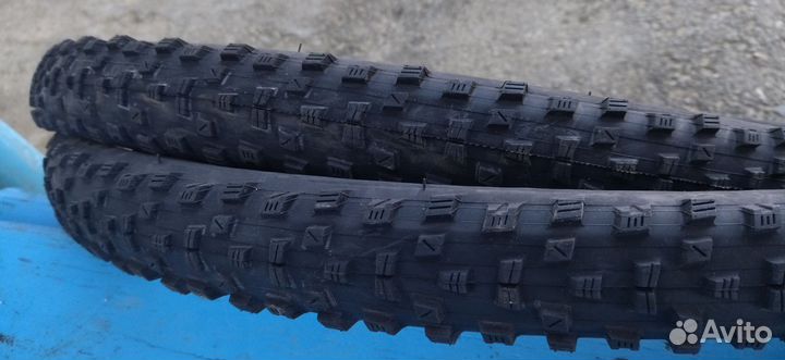 Велосипедная покрышка 29 2.35 maxxas forekaster