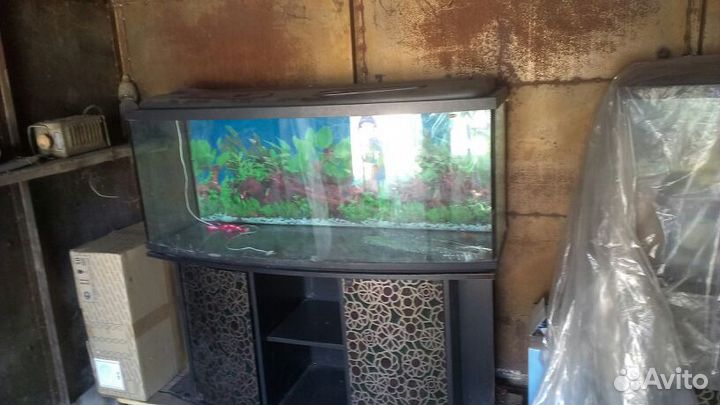 Аквариум