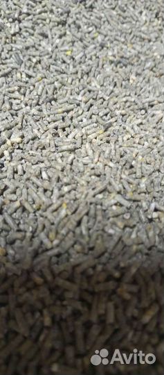 Корм для перепелок и кур несушек