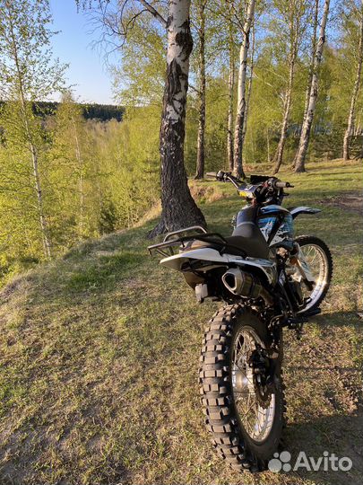 Racer Panther 300