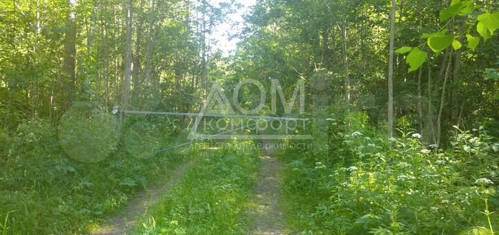 Участок 40 сот. (ИЖС)