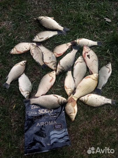 Рыболовная прикормка Cool Fishing 3DDD