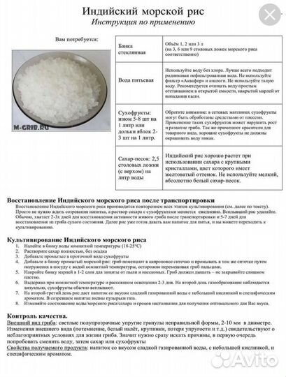 Тибетский молочный гриб и индийский морской рис