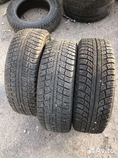 Matador MP 50 Sibir Ice 175/65 R14