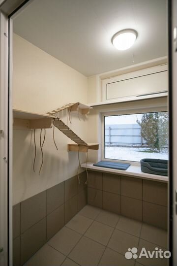 Гостиница для кошек 