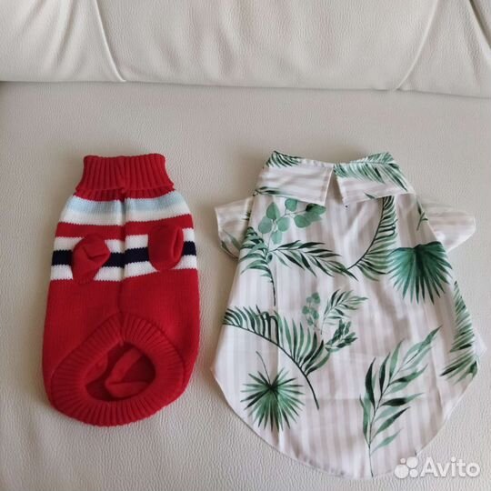 Одежда для животных