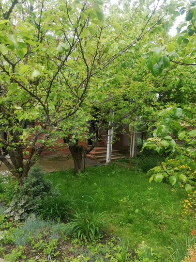 Дача 145 м² на участке 6 сот.