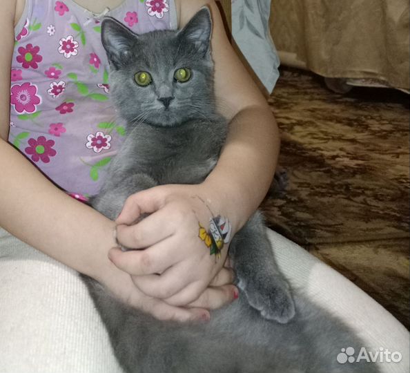 Экзотическая