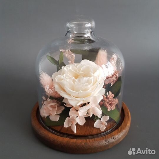 Композиция в клоше