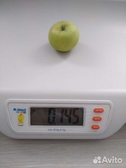 Весы детские B well kids