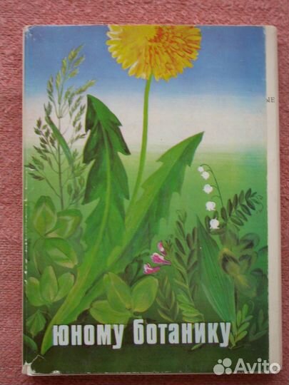 Открытки Флора и Фауна