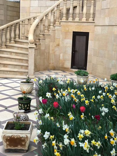 Дом 276 м² на участке 4,2 сот.