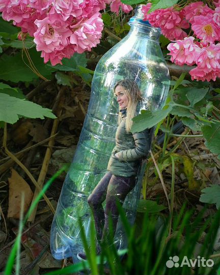 Фото- и видеомонтаж, анимация