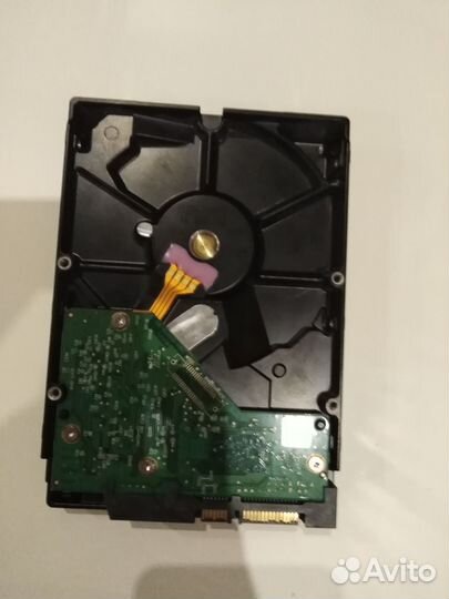 Жесткий диск Western Digital WD Blue 1 тб