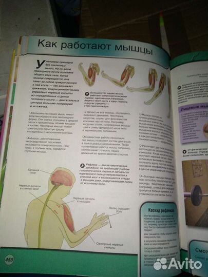 Книга. Детская энциклопедии