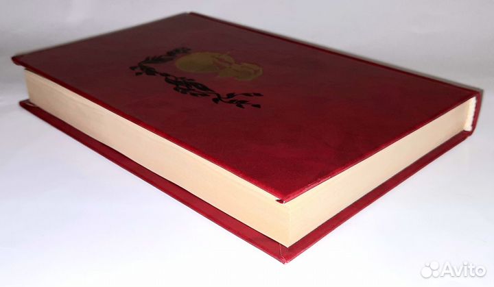 Новая книга Р.Стивенсон 12+