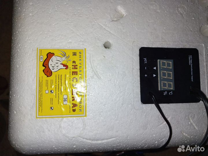 Инкубатор несушка 36