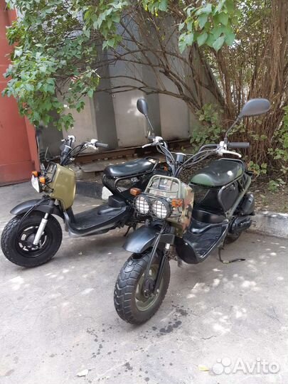 Honda zoomer militari с японского контейнера