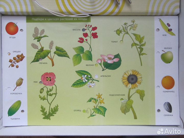 Электровикторина для детей 6-10 лет