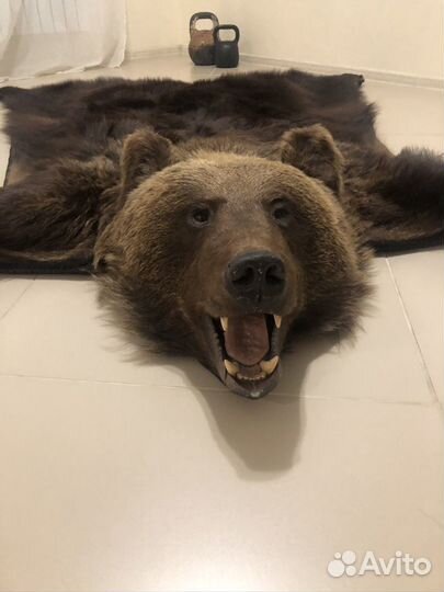 Шкура медведя, имитация