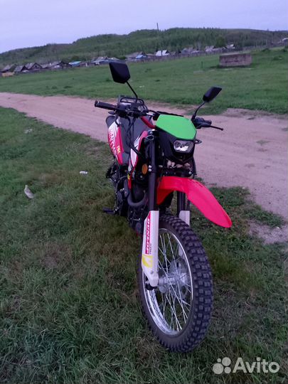 Рейсер пантера 300