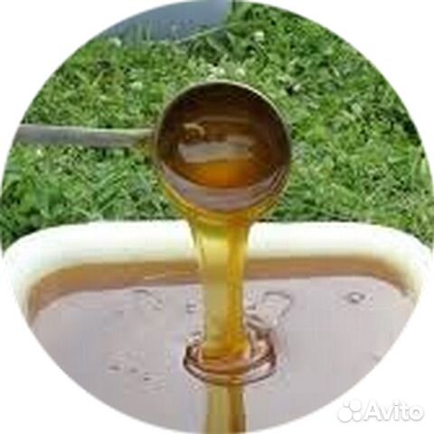 Натуральный Мёд с частной пасеки