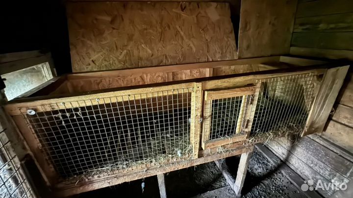 Клетки для кроликов
