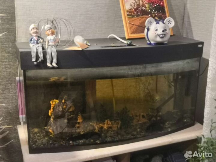 Аквариум