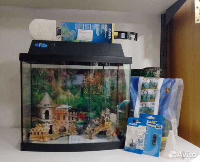 Аквариум