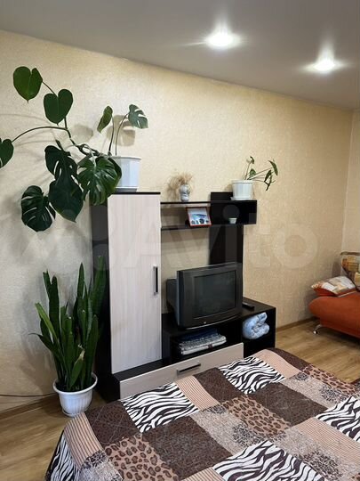 1-к. квартира, 34 м², 1/9 эт.