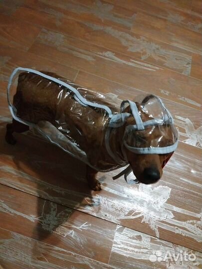 Дождевик