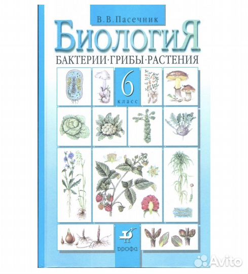 Биология 6 класс Пасечник