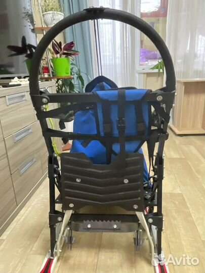 Нарты для собак Polaris