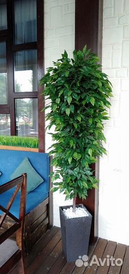 Искусственное дерево, цветок для декора