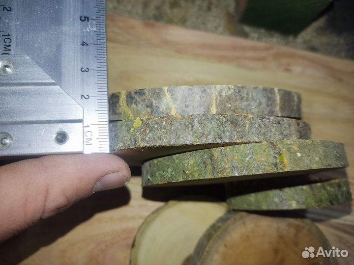 Спилы дерева