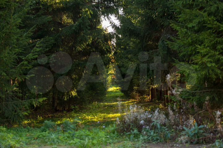 Участок 33 сот. (СНТ, ДНП)