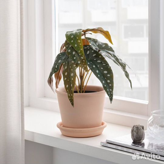 Бегония, искусственный цветок икеа