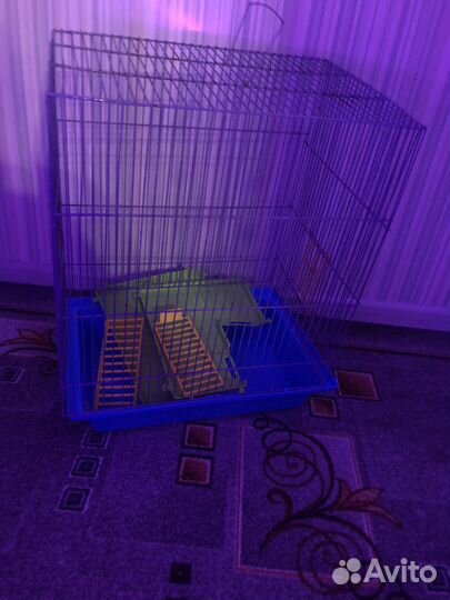Клетка для грызунов