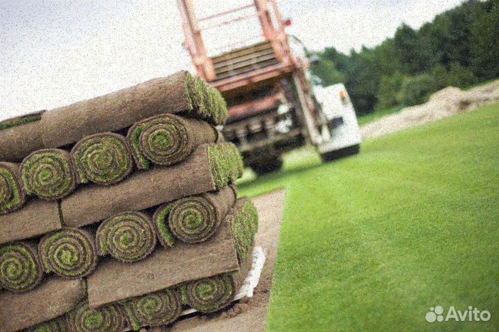 Укладка рулонного газона